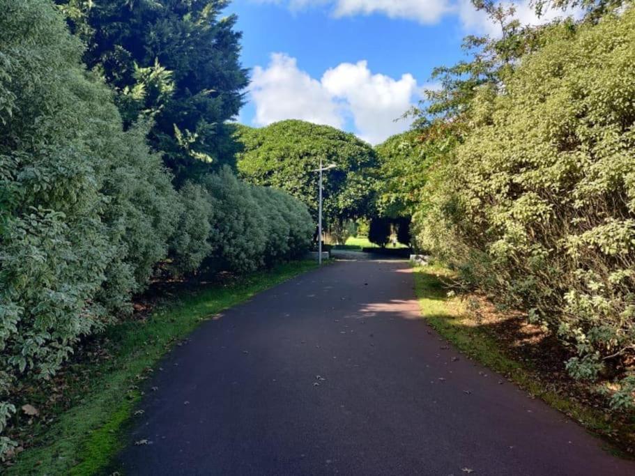 New City Park Apartment In Ponta Delgada Kültér fotó